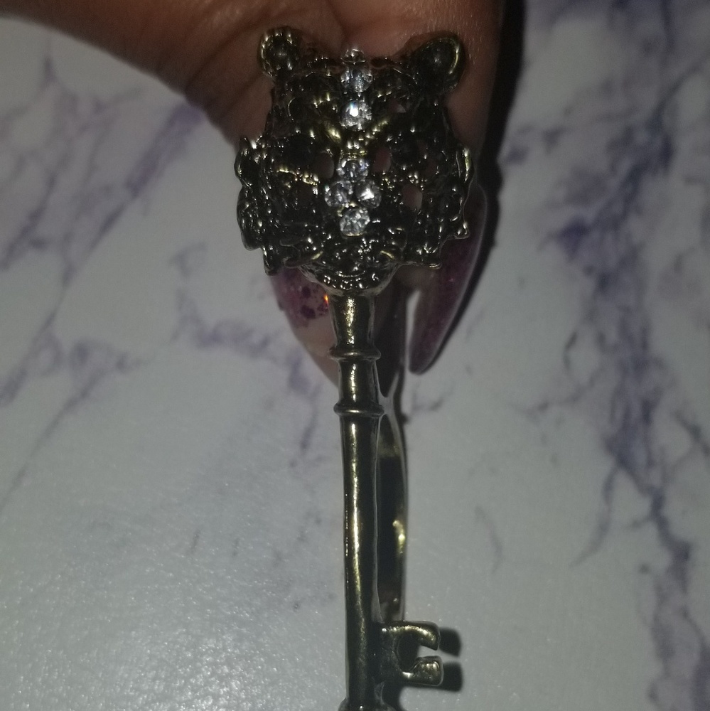 Lion key ring